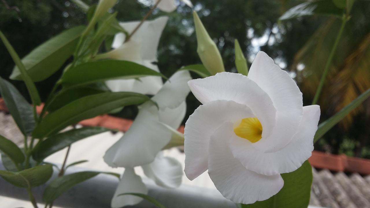 Rich Resort & Restaurant Anuradhapura Eksteriør bilde